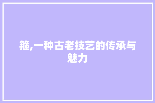 箍,一种古老技艺的传承与魅力
