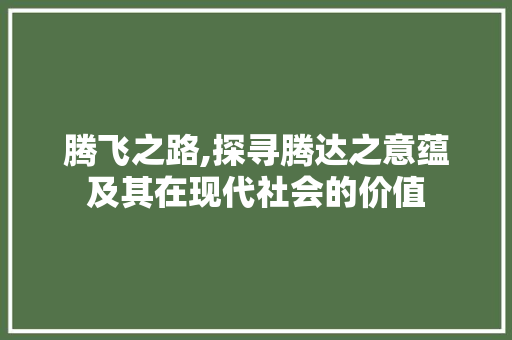 腾飞之路,探寻腾达之意蕴及其在现代社会的价值 范文参考