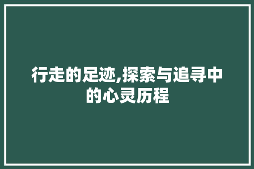 行走的足迹,探索与追寻中的心灵历程 范文精选网