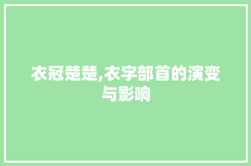 衣冠楚楚,衣字部首的演变与影响