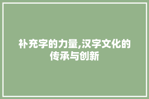 补充字的力量,汉字文化的传承与创新
