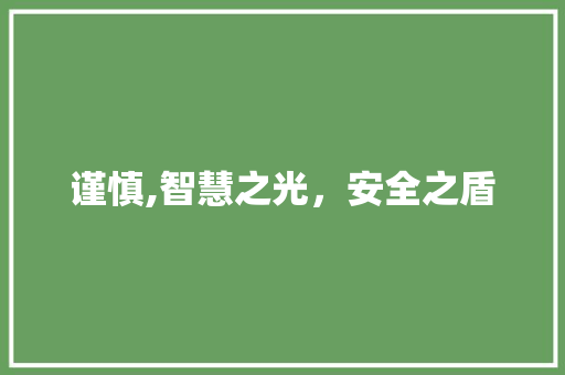 谨慎,智慧之光，安全之盾