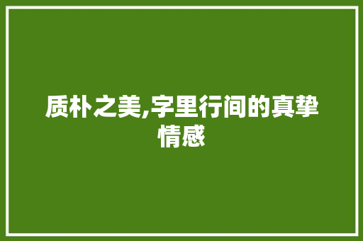 质朴之美,字里行间的真挚情感