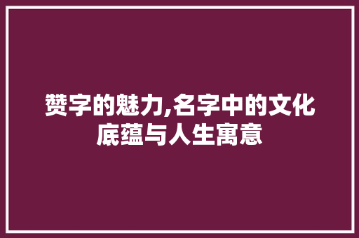 赞字的魅力,名字中的文化底蕴与人生寓意