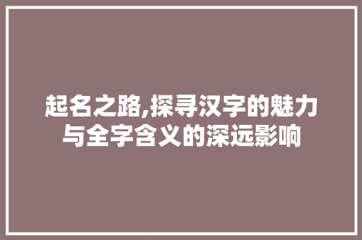 起名之路,探寻汉字的魅力与全字含义的深远影响 范文精选网