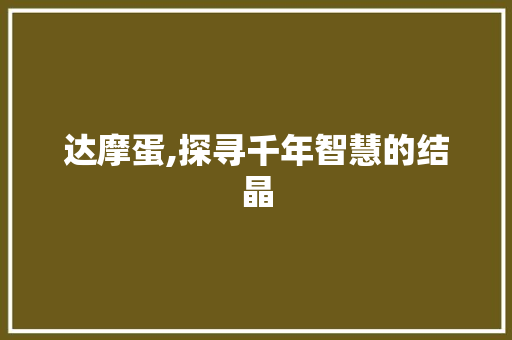 达摩蛋,探寻千年智慧的结晶 合同协议