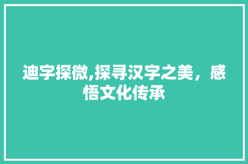 迪字探微,探寻汉字之美，感悟文化传承 商业计划书范文