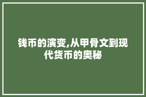 钱币的演变,从甲骨文到现代货币的奥秘