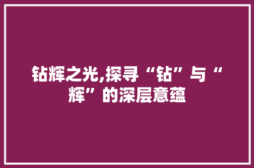 钻辉之光,探寻“钻”与“辉”的深层意蕴 范文宝典