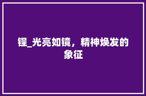 锃_光亮如镜，精神焕发的象征 商业计划书范文