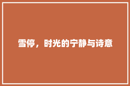 雪停，时光的宁静与诗意