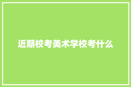 近期校考美术学校考什么
