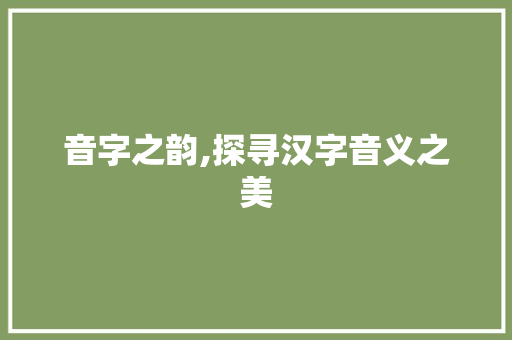 音字之韵,探寻汉字音义之美 范文资源