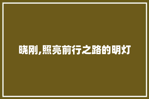 晓刚,照亮前行之路的明灯