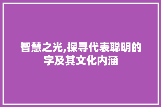 智慧之光,探寻代表聪明的字及其文化内涵