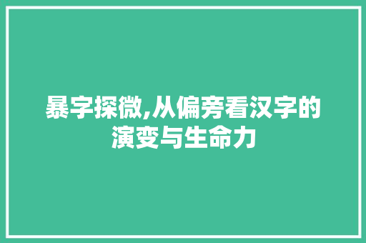 暴字探微,从偏旁看汉字的演变与生命力