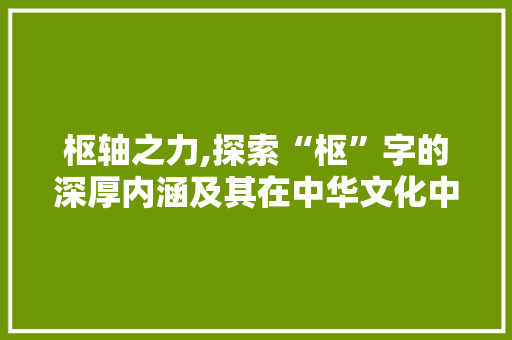 枢轴之力,探索“枢”字的深厚内涵及其在中华文化中的地位