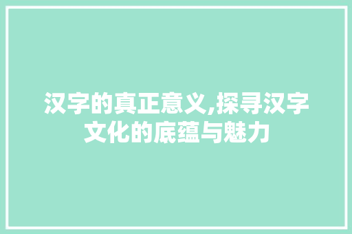 汉字的真正意义,探寻汉字文化的底蕴与魅力 商业计划书范文