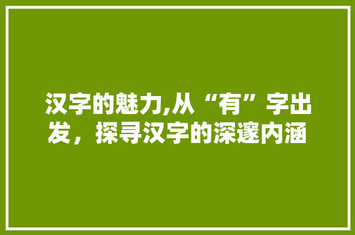 汉字的魅力,从“有”字出发，探寻汉字的深邃内涵