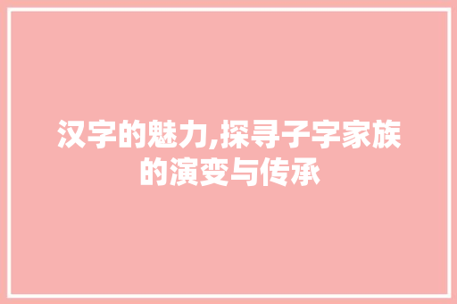 汉字的魅力,探寻子字家族的演变与传承