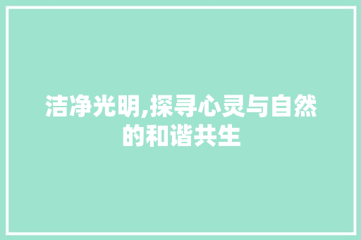 洁净光明,探寻心灵与自然的和谐共生