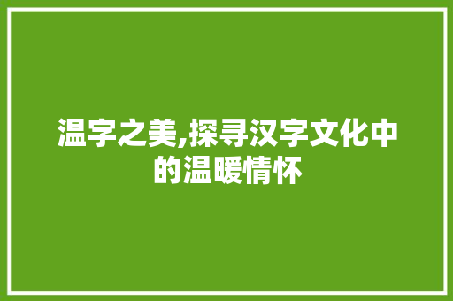 温字之美,探寻汉字文化中的温暖情怀