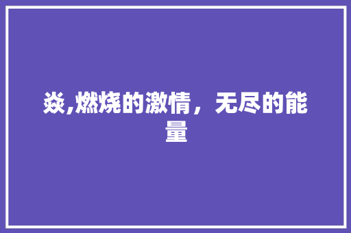 焱,燃烧的激情，无尽的能量 商业计划书范文