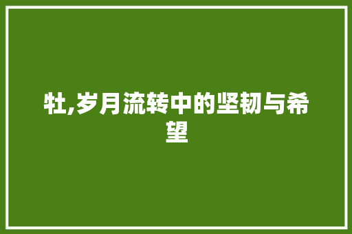 牡,岁月流转中的坚韧与希望