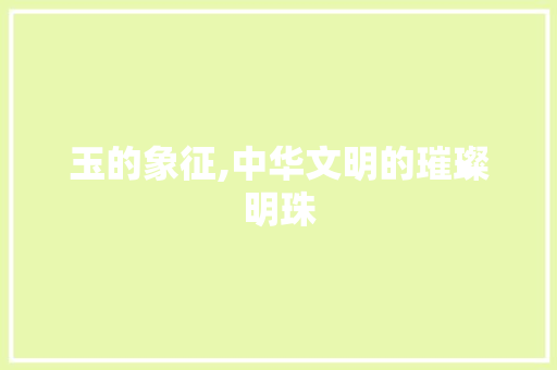玉的象征,中华文明的璀璨明珠