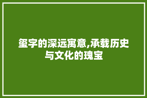 玺字的深远寓意,承载历史与文化的瑰宝