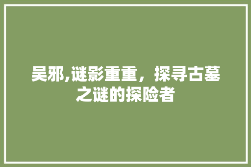 吴邪,谜影重重，探寻古墓之谜的探险者 范文资源