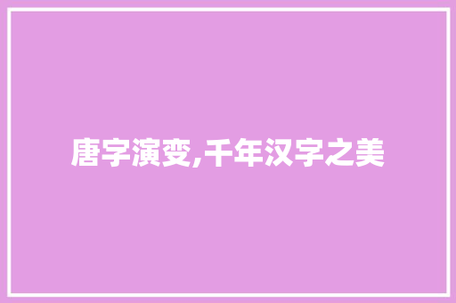 唐字演变,千年汉字之美