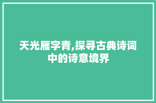 天光雁字青,探寻古典诗词中的诗意境界