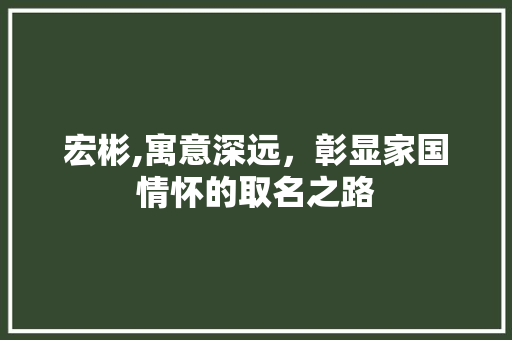 宏彬,寓意深远，彰显家国情怀的取名之路 范文精选网