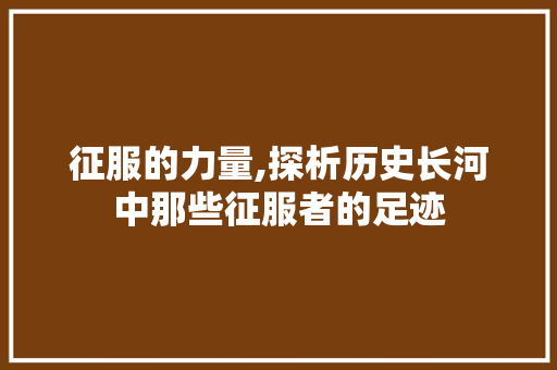 征服的力量,探析历史长河中那些征服者的足迹 合同协议