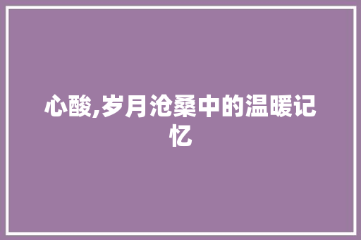 心酸,岁月沧桑中的温暖记忆