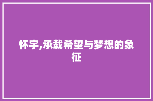 怀宇,承载希望与梦想的象征