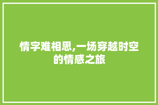 情字难相思,一场穿越时空的情感之旅