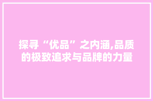 探寻“优品”之内涵,品质的极致追求与品牌的力量 商业计划书范文