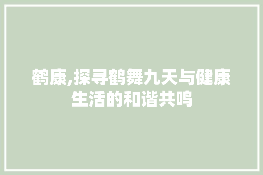 鹤康,探寻鹤舞九天与健康生活的和谐共鸣 职场应用