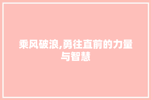 乘风破浪,勇往直前的力量与智慧