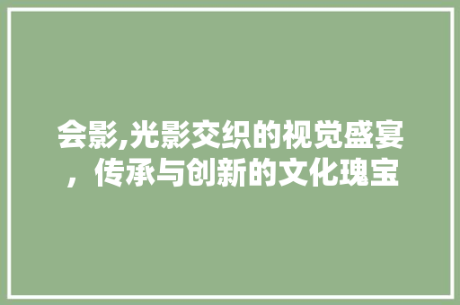 会影,光影交织的视觉盛宴，传承与创新的文化瑰宝 范文参考