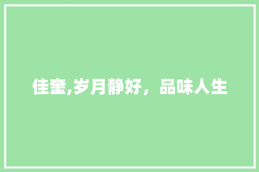 佳奎,岁月静好，品味人生