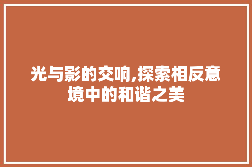 光与影的交响,探索相反意境中的和谐之美