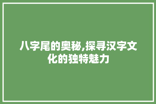 八字尾的奥秘,探寻汉字文化的独特魅力