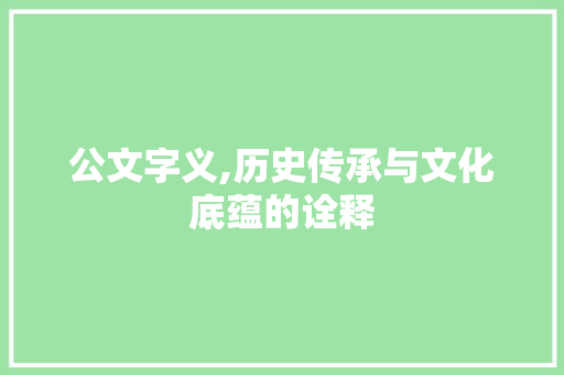 公文字义,历史传承与文化底蕴的诠释