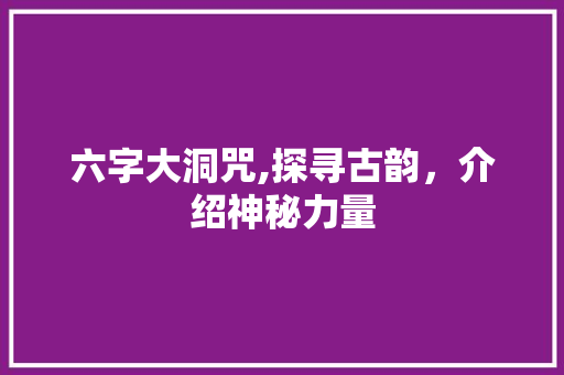 六字大洞咒,探寻古韵，介绍神秘力量