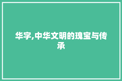 华字,中华文明的瑰宝与传承 商业计划书范文