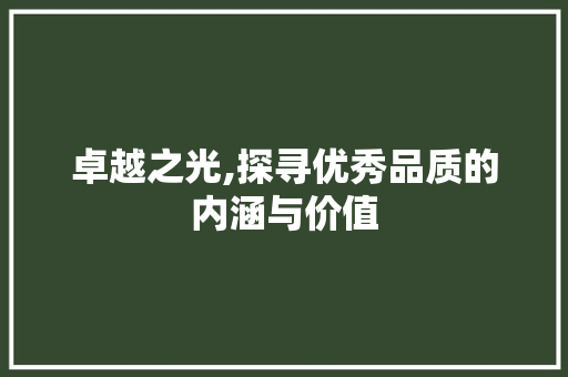 卓越之光,探寻优秀品质的内涵与价值