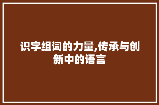 识字组词的力量,传承与创新中的语言 商业计划书范文